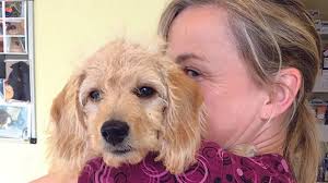 Articles and career information