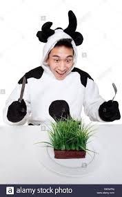 Wtf Stock Photos Stock Photos Funny Beautiful Stock Photos Stock Photos