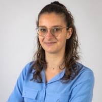 300+ "Velut" profiles