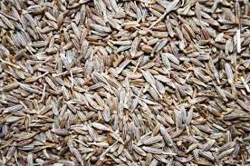 Read more about cumin, including six ways it might people's interest in cumin has recently been growing, as newer research is starting to support some of its alleged health benefits. Cumin Meaning In Tamil Cumin à®¤à®® à®´ à®ª à®° à®³ Multibhashi