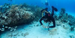 I have been swimming since i was a young child so getting i think that fear and lack of awareness has stopped people from getting certified as a scuba diver. Pensacola Scuba Training Gear Mbt Divers