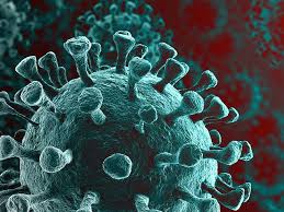 Image result for tbn:Iab6-YnX2CWLrM::www.healthy-