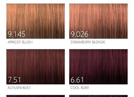 Goldwell Hair Color Chart Topchic Lajoshrich Com