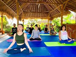 So if you are a beginner or more experienced there will be a surf group for you to join for sure. Top 10 Power Yoga Retreats In Bali