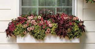 Check out our flower box selection for the very best in unique or custom, handmade pieces from our floral arrangements shops. 11 Low Maintenance Winter Window Box Plants Quick Read