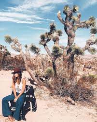 The Joshua Tree House On Instagram Incredible Weather In Jt Right Now 70 S And Sunny Photo By Awesome House Gue Joshua Tree People Photography Photo
