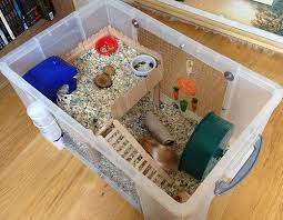 Page 594 Of 867 Proud Of Your Hamsters Cage Posted In Supplies Accessories Heres Rolos 116 Qt Bin With Peacock Du Hamster Cages Hamster Diy Hamster Care