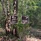 Guided Nature Walk & Bird Identification Experience