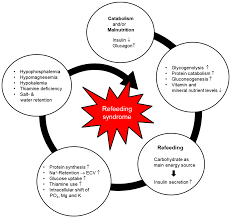 Jcm | Free Full-Text | Management Of Refeeding Syndrome In Medical  Inpatients | Html