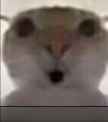 哈基米高清图片素材免费下载- 爱给网