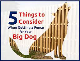 Diy, do it yourself electric dog fence, from wired systems to wireless systems. 5 Things To Consider When Getting A Fence For Your Big Dog