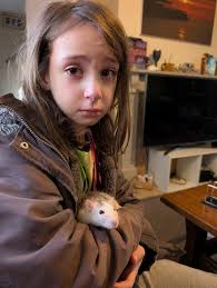 What could be causing a nearly 12-year-old kelpie to slow down and  experience health issues such as lethargy, soft stool, and struggling to  move?