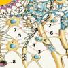 Außerdem hält diese physiologische barriere das spezielle innere milieu aufrecht, welches das empfindliche gehirn für seine ungehinderte funktion benötigt. 1