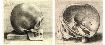 Wenceslaus Hollar 1607 1677 After Leonardo Da Vinci Left Profile Download Scientific Diagram 509 x 339 jpeg 39 кб. wenceslaus hollar 1607 1677 after