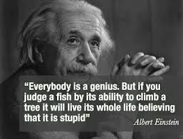 Albert Einstein Everybody Is A Genius Quote Citacoes De Einstein Frases De Albert Einstein Citacoes De Inspiracao