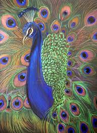 Color Pencil Drawing Peacock Prismacolor Prismacolor Pencil Drawings Peacock Peacock Drawings Prismacolor Drawing Peacock Art Peacock Painting Prismacolor