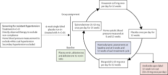 Image result for Resistant Hypertension