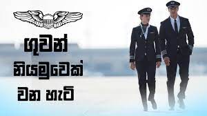 Maybe you would like to learn more about one of these? How To Become A Pilot à¶œ à·€à¶± à¶± à¶ºà¶¸ à·€à¶š à·€à¶± à·€ à¶¯ à¶º Youtube