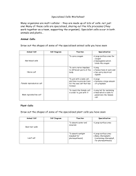 Check spelling or type a new query. Specialised Cells Worksheet