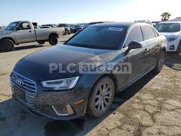 Image result for Argus Brown 2019 A5