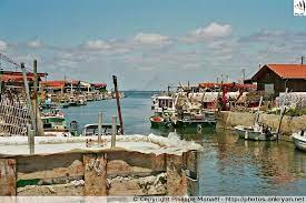 Port De Gujan Mestras Traversee Des Landes Ankryan Photos Bassin D Arcachon Arcachon Arcachon France