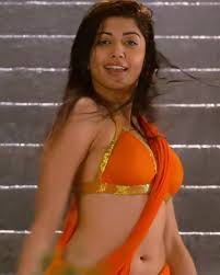 Pranitha Subhash navel in orange saree : rNavelNSFW
