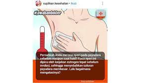 Ada dua jenis nyeri pada payudara dan ini akan sesuai dengan penyebabnya, berikut penjelasannya: Payudara Terasa Sakit Saat Menstruasi Ini Solusinya Tribun Pontianak