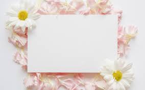 تحميل خلفيات زهور الربيع الوردي بتلات بطاقات المعايدة قالب