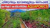 Biggest Aquaponics Farm In Kerala Youtube