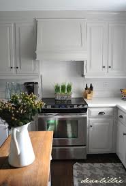 Dear Lillie Our Kitchen Makeover On A Budget Phase 1 New Kitchen Cabinets Kitchen Kitchen Cabinets Makeover