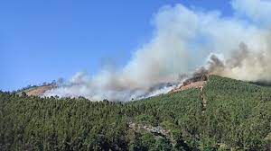 Incêndio em cernache do bonjardim. Dominado Violento Incendio Na Serta Que Chegou A Ser Combatido Por Oito Meios Aereos Portugal Correio Da Manha