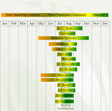Zone 3 Vegetable Planting Calendar Schedule Veggieharvest Com