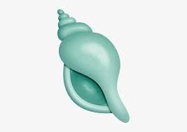 All conch shell clip art are png format and transparent background. Seashell Green Sea Shell Clip Art Transparent Png 317x500 Free Download On Nicepng