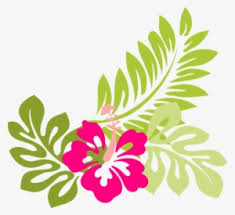 Yellow exotic flower png clipart picture. Tropical Flowers Png Free Hd Tropical Flowers Transparent Image Pngkit