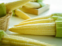 Baby Corn Mystery Gardening Andrew Weil M D
