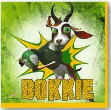 Bokkie Springbok Rugby Rugby Party Rugby Birthday