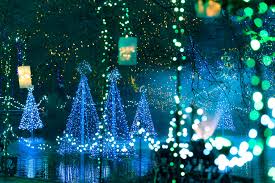 Where To See The World S Best Christmas Lights Conde Nast Traveler