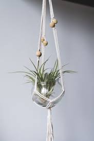 Get ready to bring the outdoors inside! 10 Best Indoor Hanging Plants That Thrive In Apartments