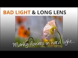 Photography Tips Bad Light Long Lens Flowers Youtube Photography Tips Lens Photography