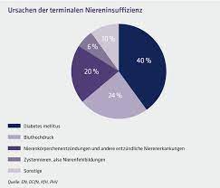 Nieren Nierenerkrankungen Und Nierenpatienten Ihre Nieren Liegen Uns Am Herzen Die Nephrologen