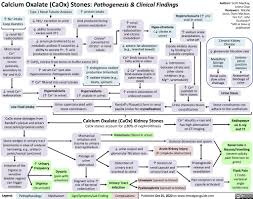 Image result for Calcium Nephrolithiasis