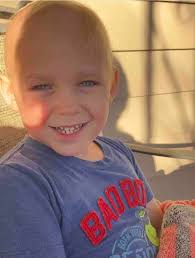 Fundraiser by Danielle McKee : Love for Levi