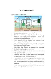 Siklus karbon merupakan proses pemanfaatan karbondioksida di udara untuk keperluan siklus karbon berawal dengan pembentukan karbon (co2) diudara. Pdf Daur Biogeokimia Gama Fardena Academia Edu