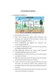 Makalah siklus karbon dan oksigen. Pdf Daur Biogeokimia Gama Fardena Academia Edu