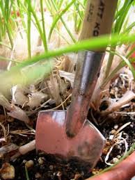 How to lay out your herb garden. Herb Garden Layout Lovetoknow