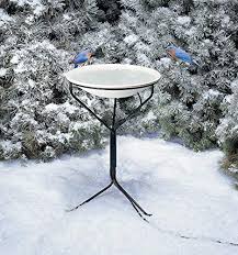 Rated 4.5 out of 5 stars. 5 Best Heated Bird Baths To Give Birds Fresh Water In 2021