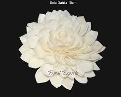 Sola wood flowers wholesale canada. Sola Wood Flowers I Sola Flowers I Manufacturer I Wholesaler I Exporters