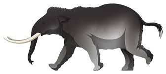 Elephant is an unincorporated community in bedminster township, bucks county, pennsylvania, united states, on the se side of lake nockamixon. Pleistocene Extinction Nix Illustration