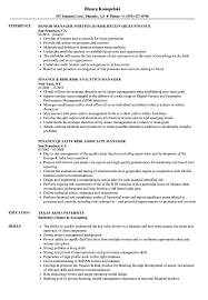 Financial manager responsibility # 5. Finance Risk Manager Resume Samples Velvet Jobs