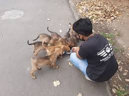 Maybe you would like to learn more about one of these? 9 Centers For Dog Adoption In Hyderabad